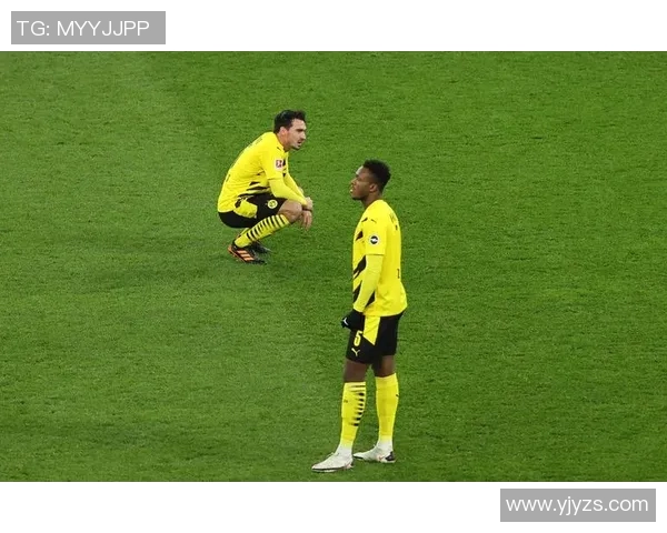 斯图加特客场战平，德甲排名略有下滑，球队仍需稳扎稳打