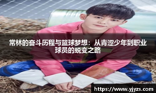 MK电竞-手机下载